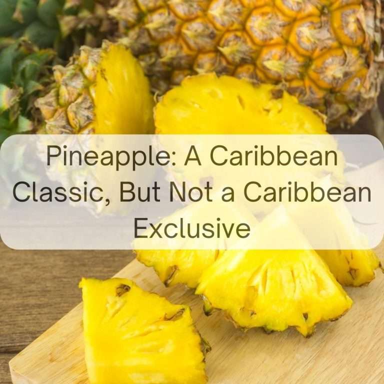 Pineapple: A Caribbean Classic, But Not a Caribbean Exclusive