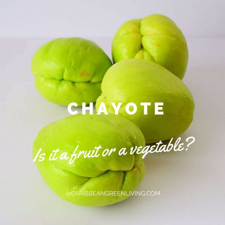 Chayote - caribbeangreenliving.com
