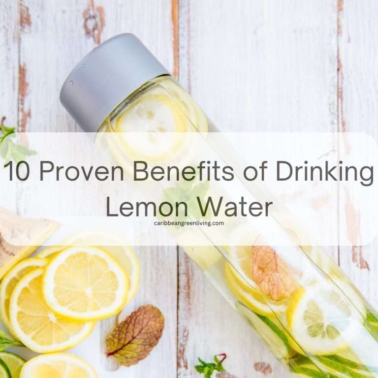10 Proven Benefits of Drinking Lemon Water