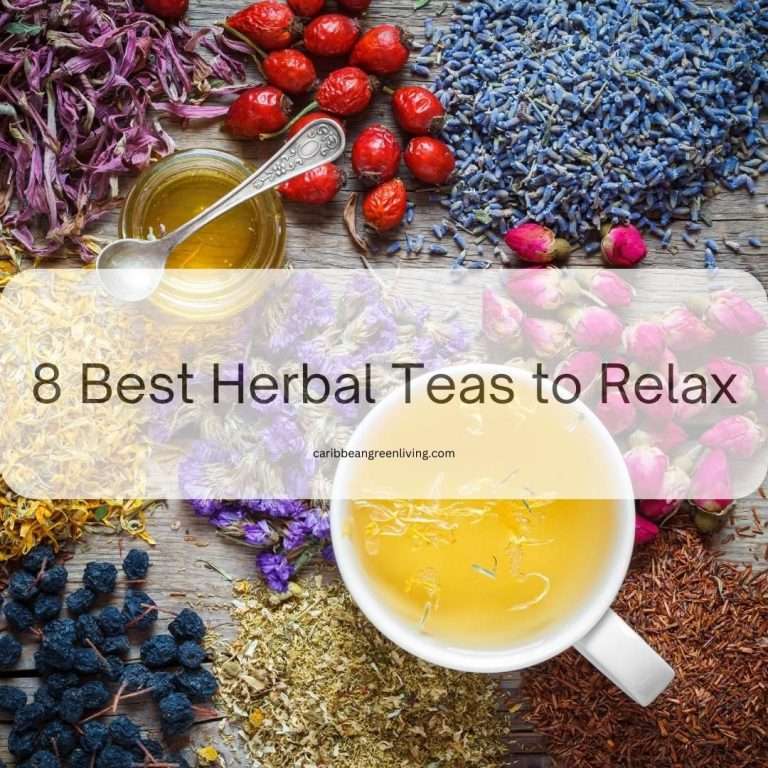8 Best Herbal Teas to Relax